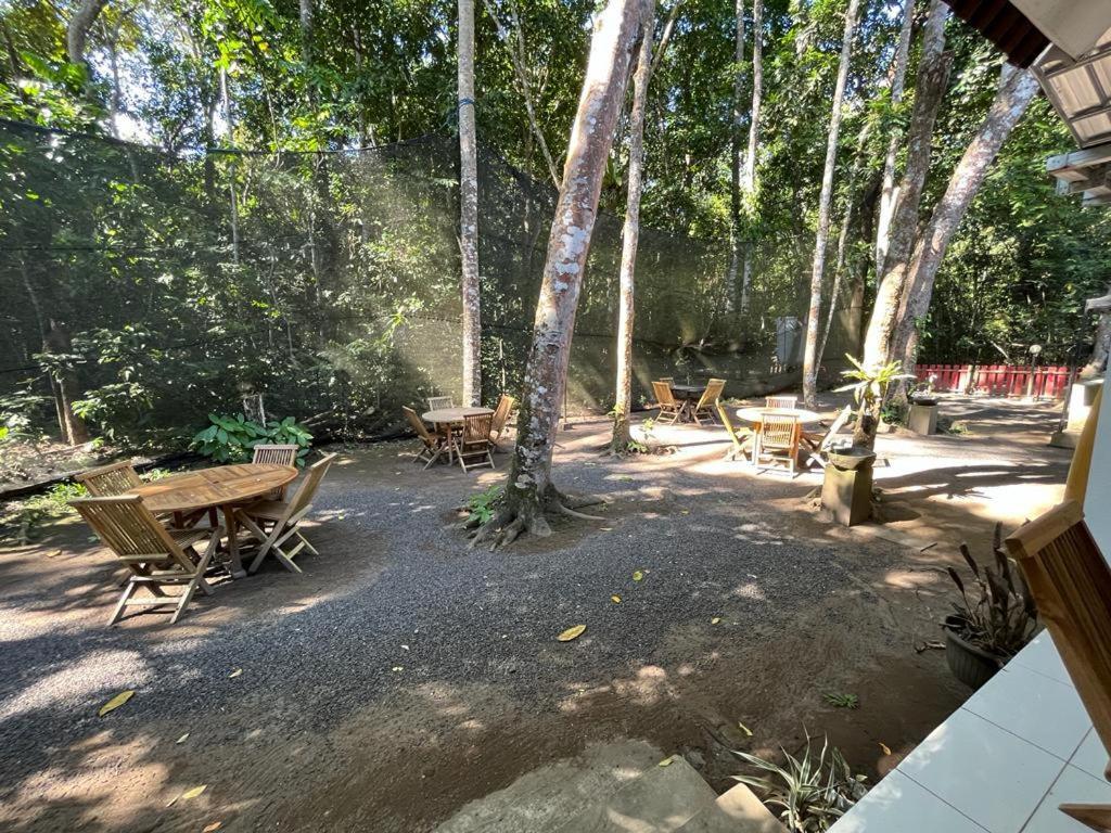 Capital O 92612 Penginapan D'Alas Purwo & Beachnearpadang Savana Sadengan バニュワンギ エクステリア 写真